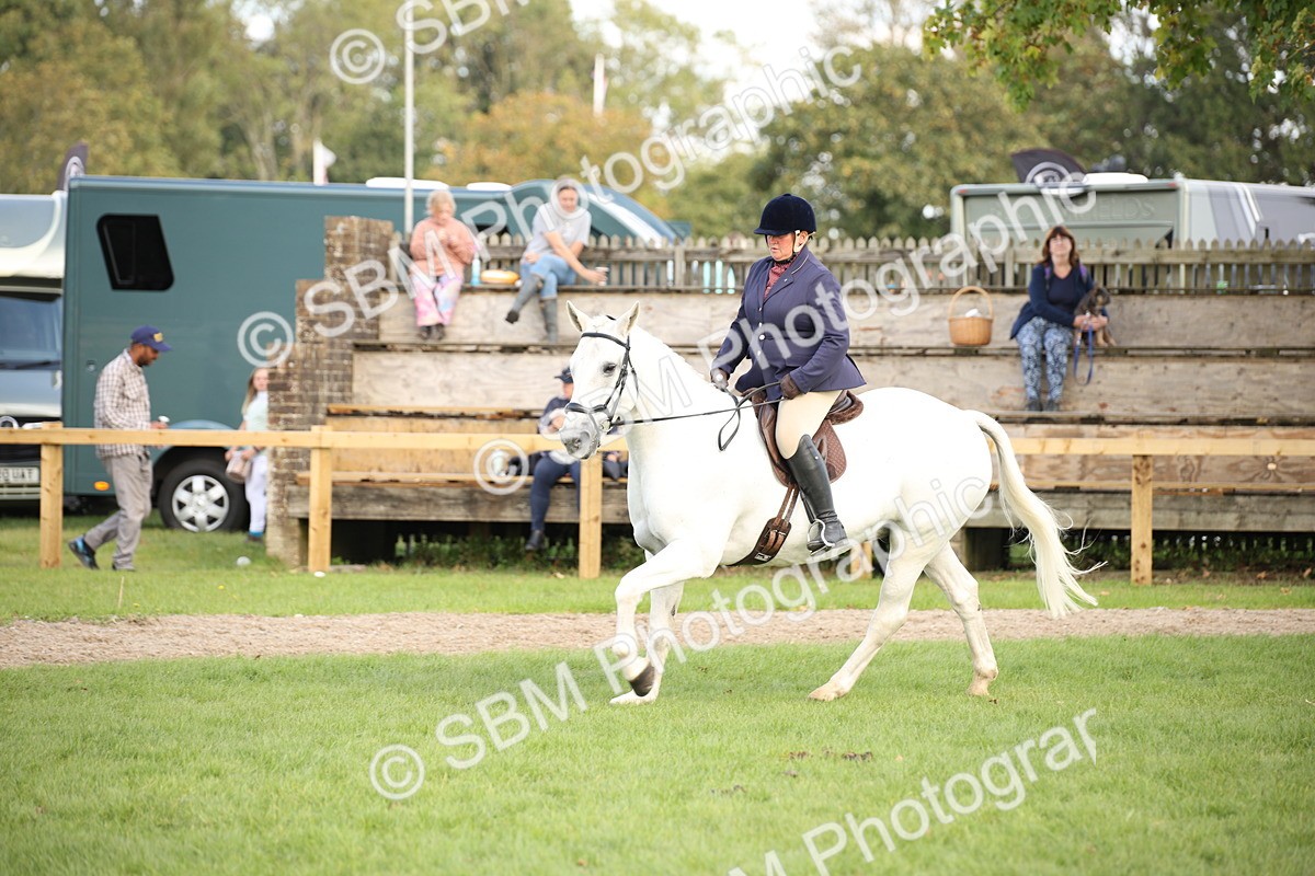 SBM_50212 - S26 - Young Veteran - Ridden