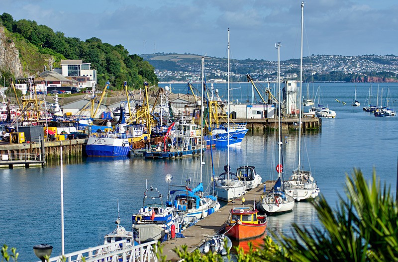 Tourist boats and fishing boats Brixham - Brixham and Broadsands