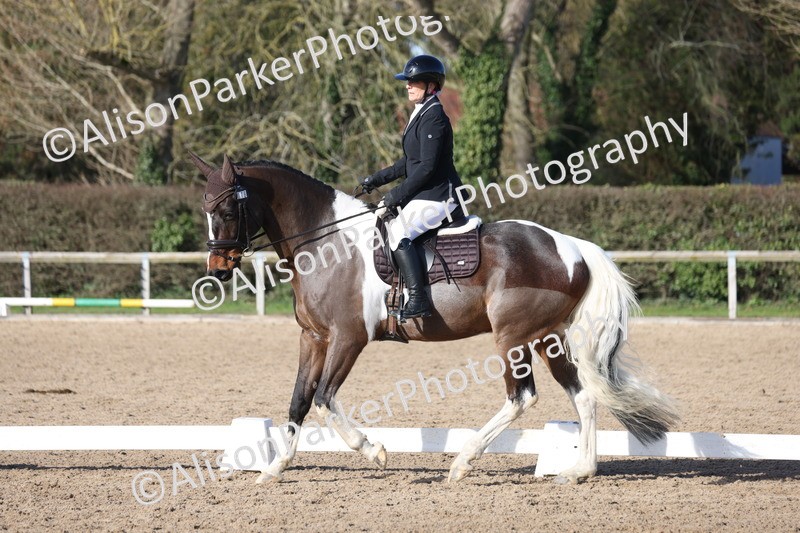 20260214-0530 - Class 5 - Novice 3