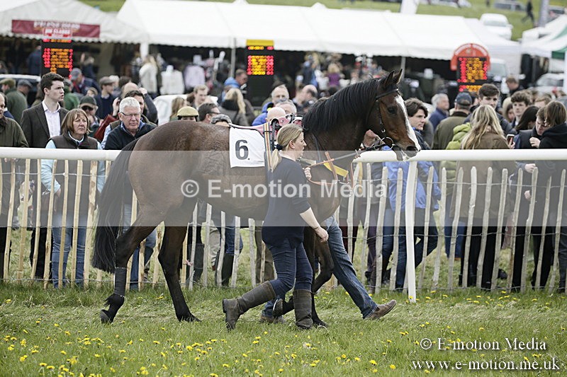 PtP 170417 483 - Old Berks Point-to-Point Lockinge 17/04/17
