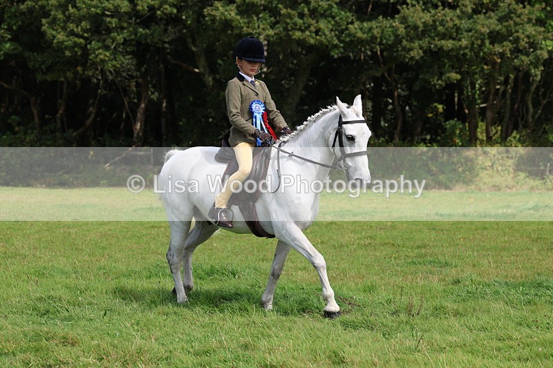 3E7A6037 - Working Hunter Championship