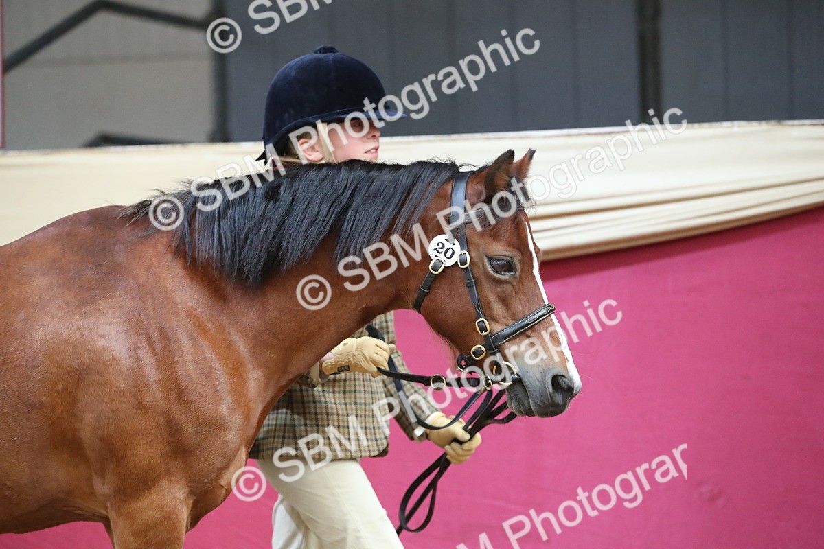 SBM_15109 - Class 501 M&M IH Supreme Final