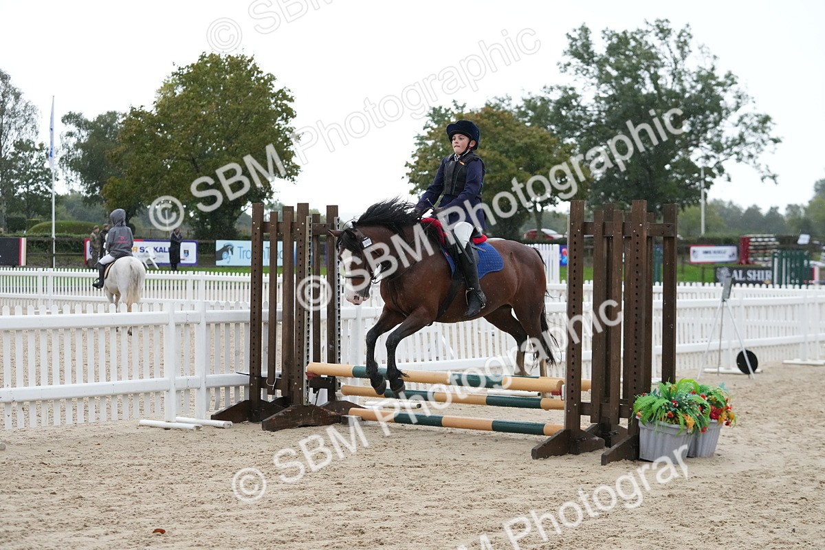 SBM_34033 - J5 - Junior Pony 50cm Championship
