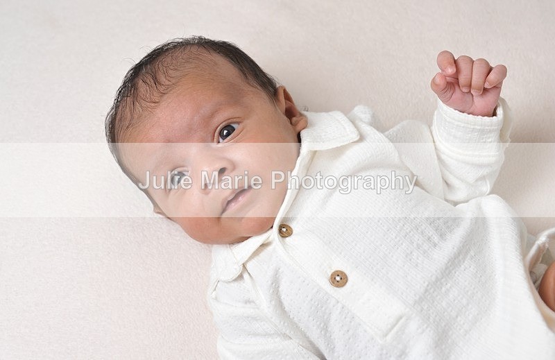 DSC_0986 - Taran