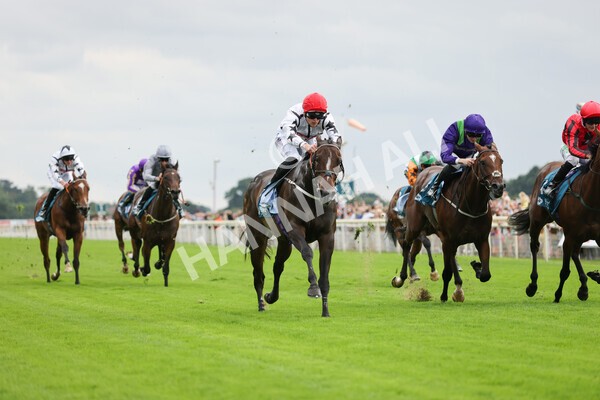 yr04092022r4-14 - Race 4 3.30pm Federation of Bloodstock Agents Nursery Handicap