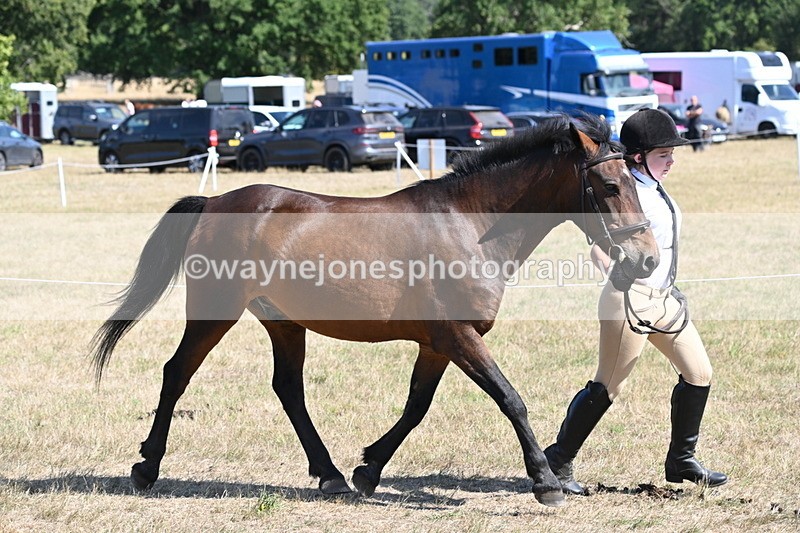 WJ6_9131 - Championship Classes 33-38
