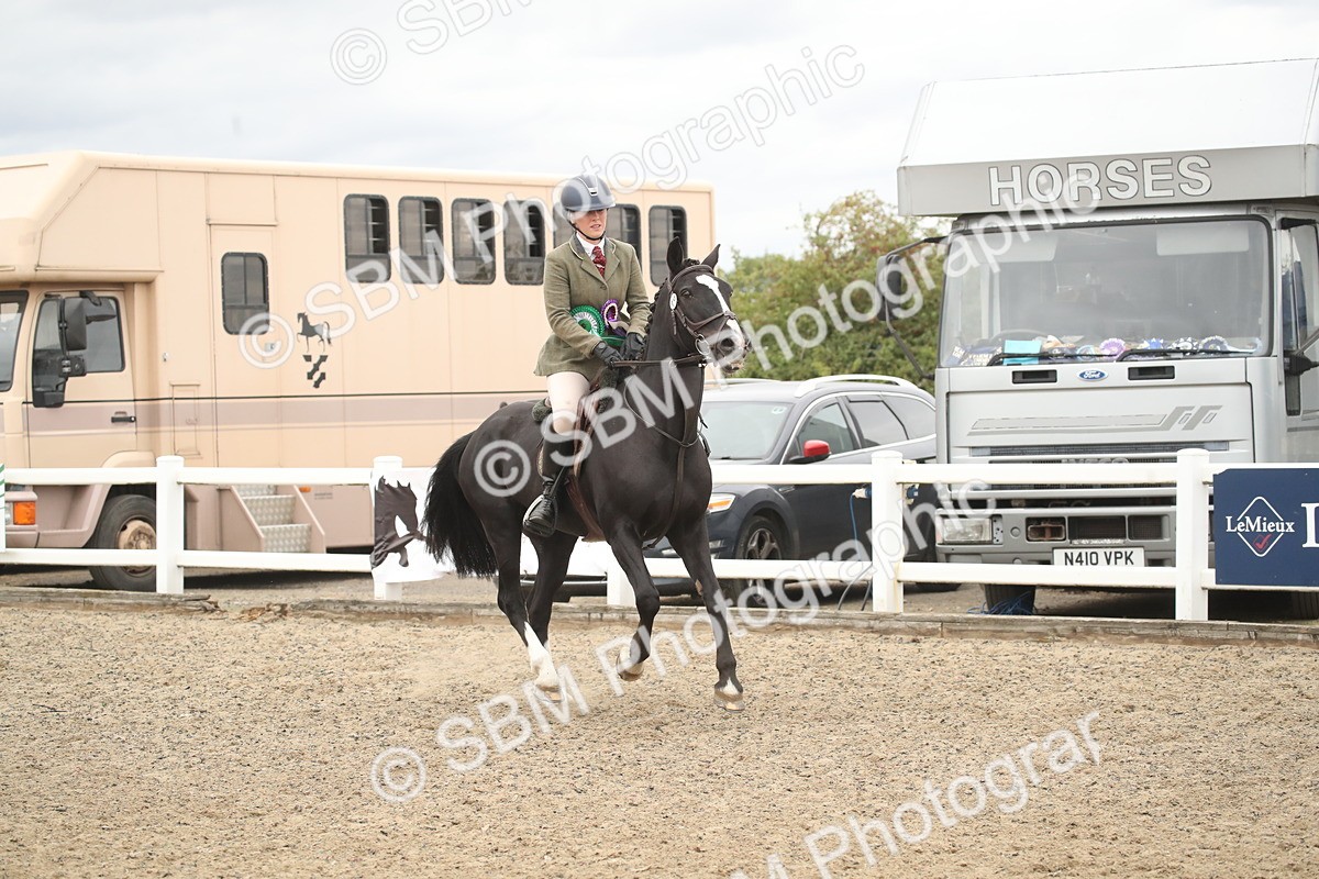 SBM_18352 - Class 509a - Working Veteran - 80cm (15-19)
