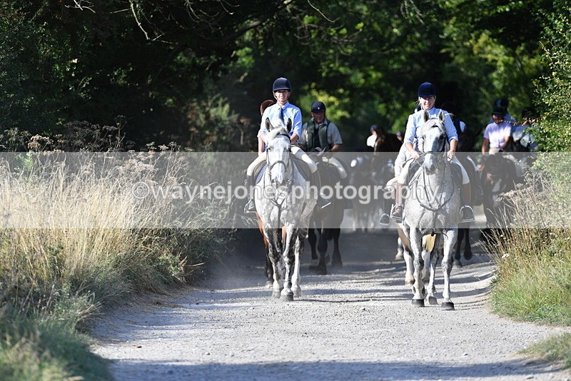 WJ5_4869 - Walk out with the hounds