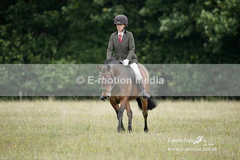 BVRC 030721 397 - Bourne Valley Riding Club Dressage 03/07/21