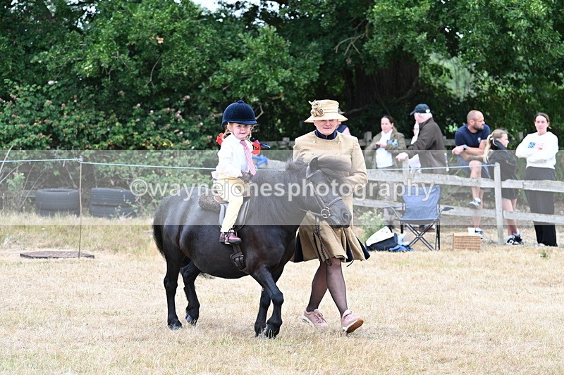 WJ7_8493 - Class 4 Prettiest Mare up to 14.2hh