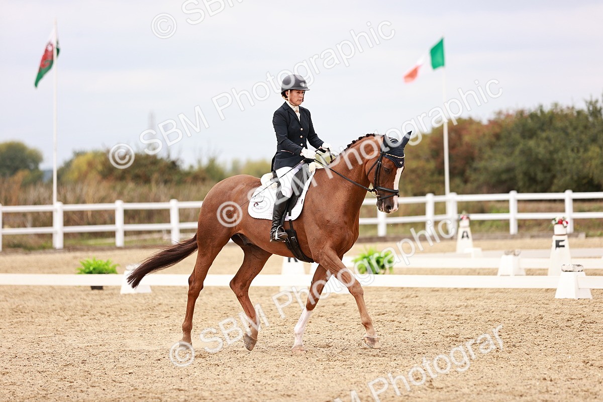 SBM_019258 - Class 20 - Medium 5