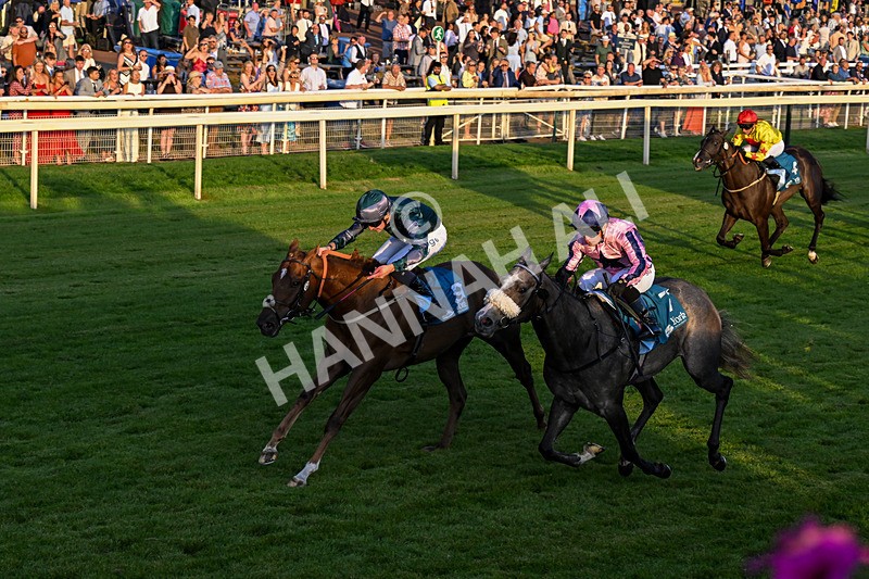 240726-Race 6-Explosive Finnish-0682 - Race 6 20.25pm Sky Bet Go-Racing-In-Yorkshire Summer Festival Handicap