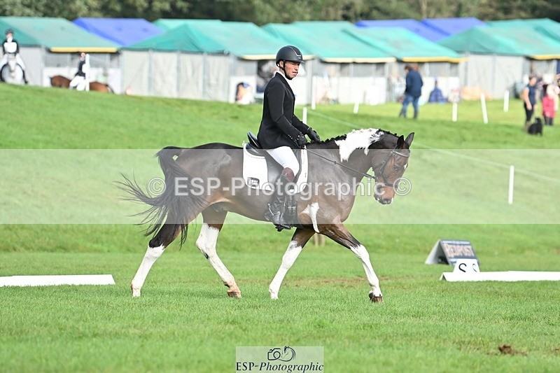 231020-103832-07670 - 640-UP.TO.MISCHIEF-Will.van.Ufford-DR