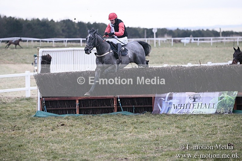 PtP 180218 878 - Combined Services Point-to-Point Larkhill 18/02/18