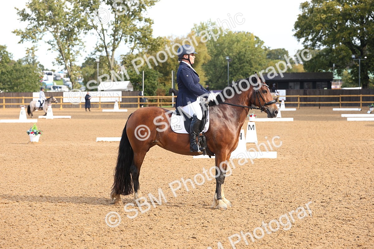 SBM_36772 - D18 - Grand Tour Championship Novice 2