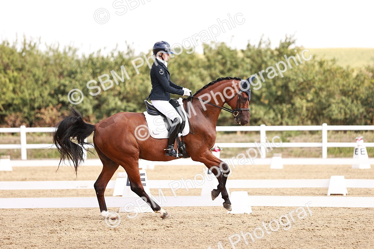 SBM_017655 - Class 11 - Advanced Medium 6