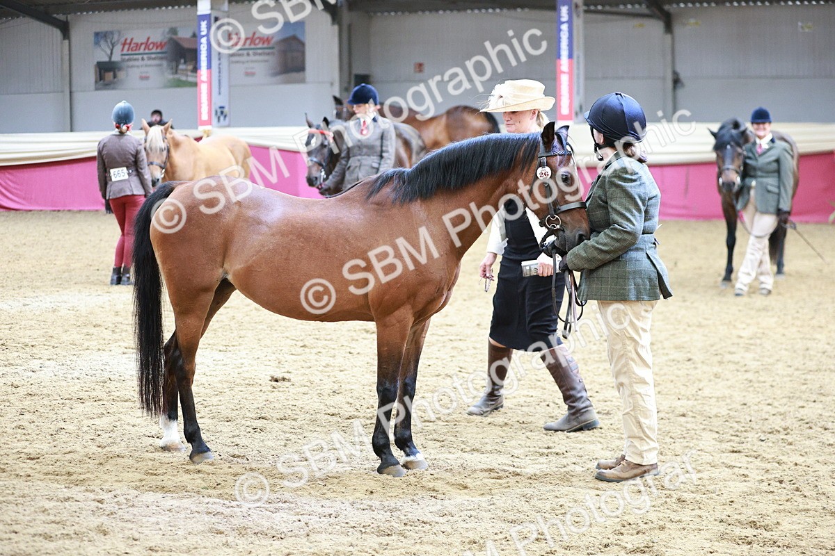 SBM_04842 - Class 7R - Regional IH Diamond