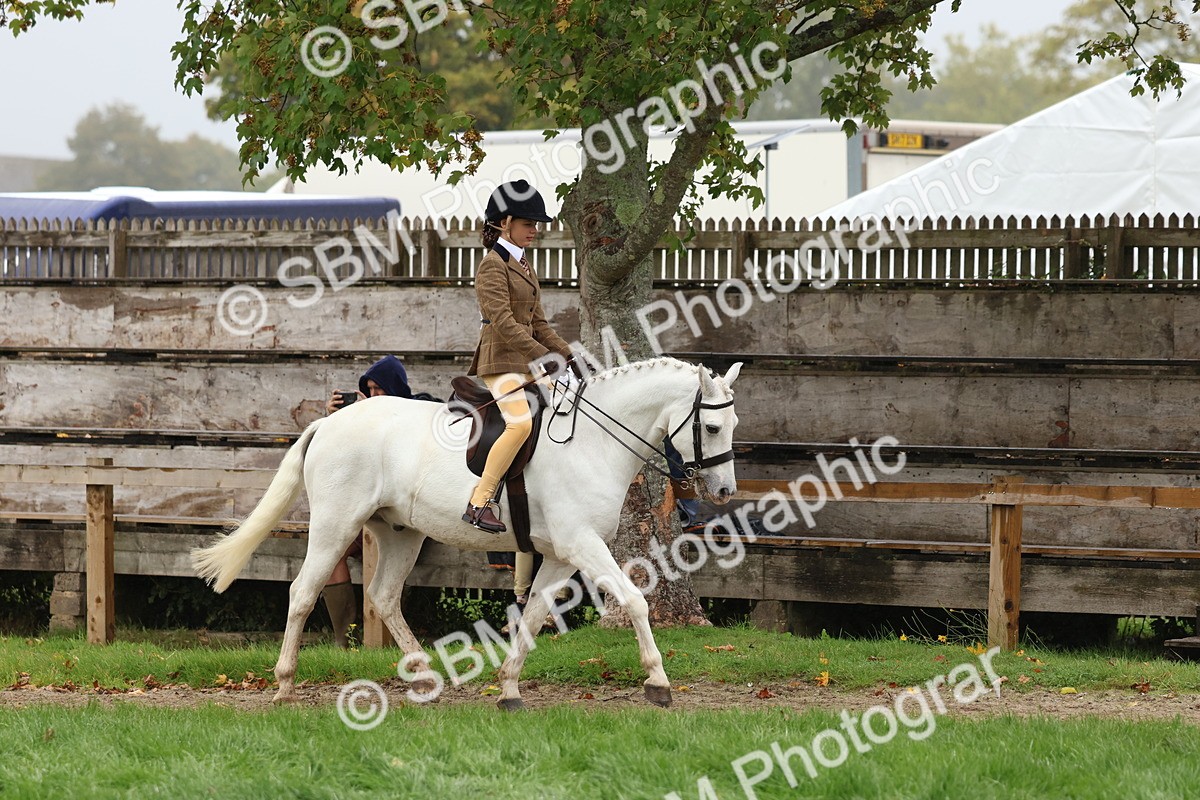 SBM_72992 - S63 Show Pony & Show Hunter Pony Ridden