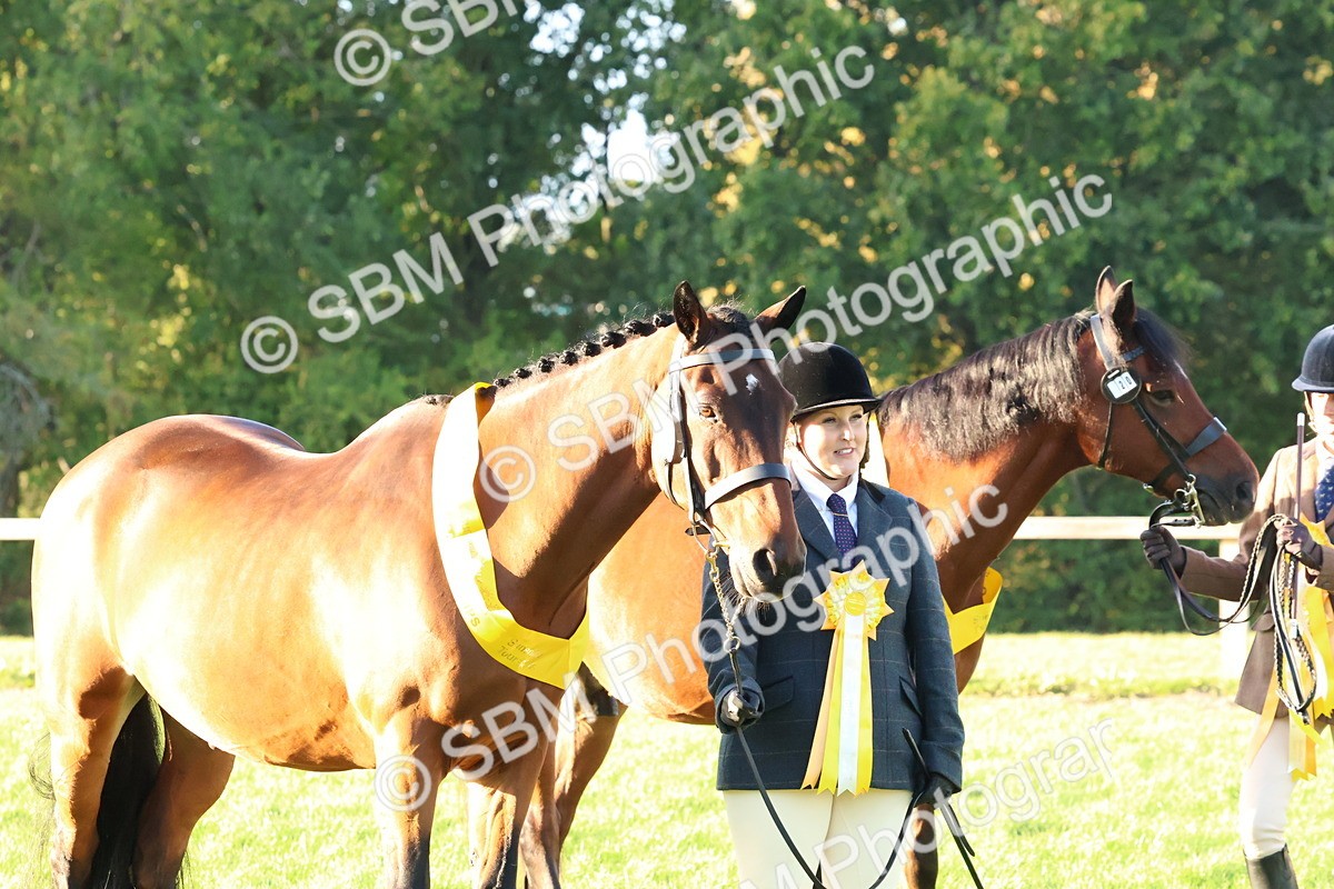 SBM_53168 - Veteran Supreme Championship