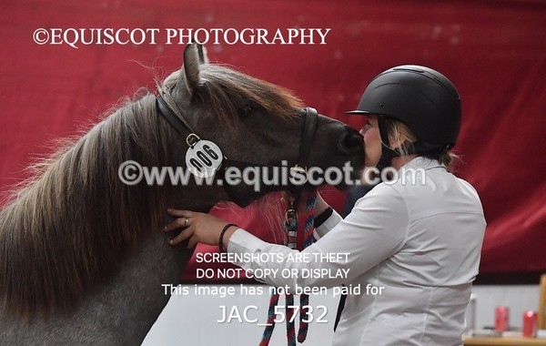 JAC_5732 - 6 Glenmuir Niamh