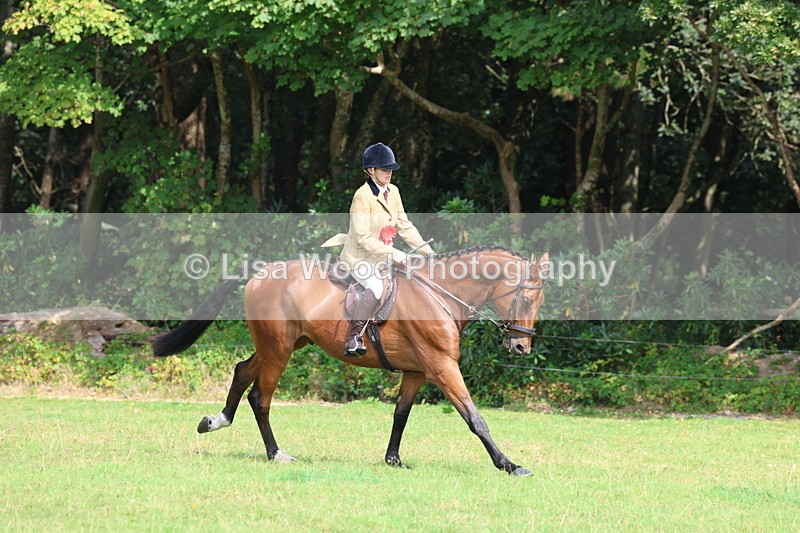 3E7A6061 - Working Hunter Championship