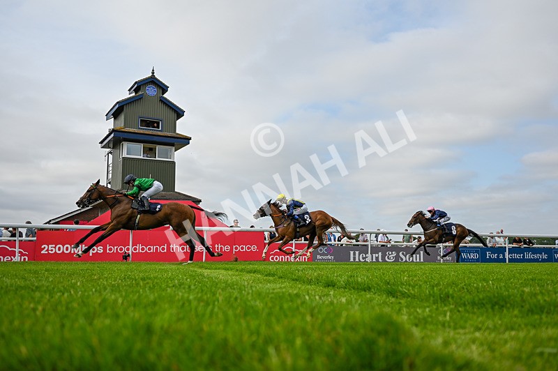 140726-Race 6-The Sweet Escape-4083 - Race 6 16.58pm Racing Again On Monday Evening Handicap