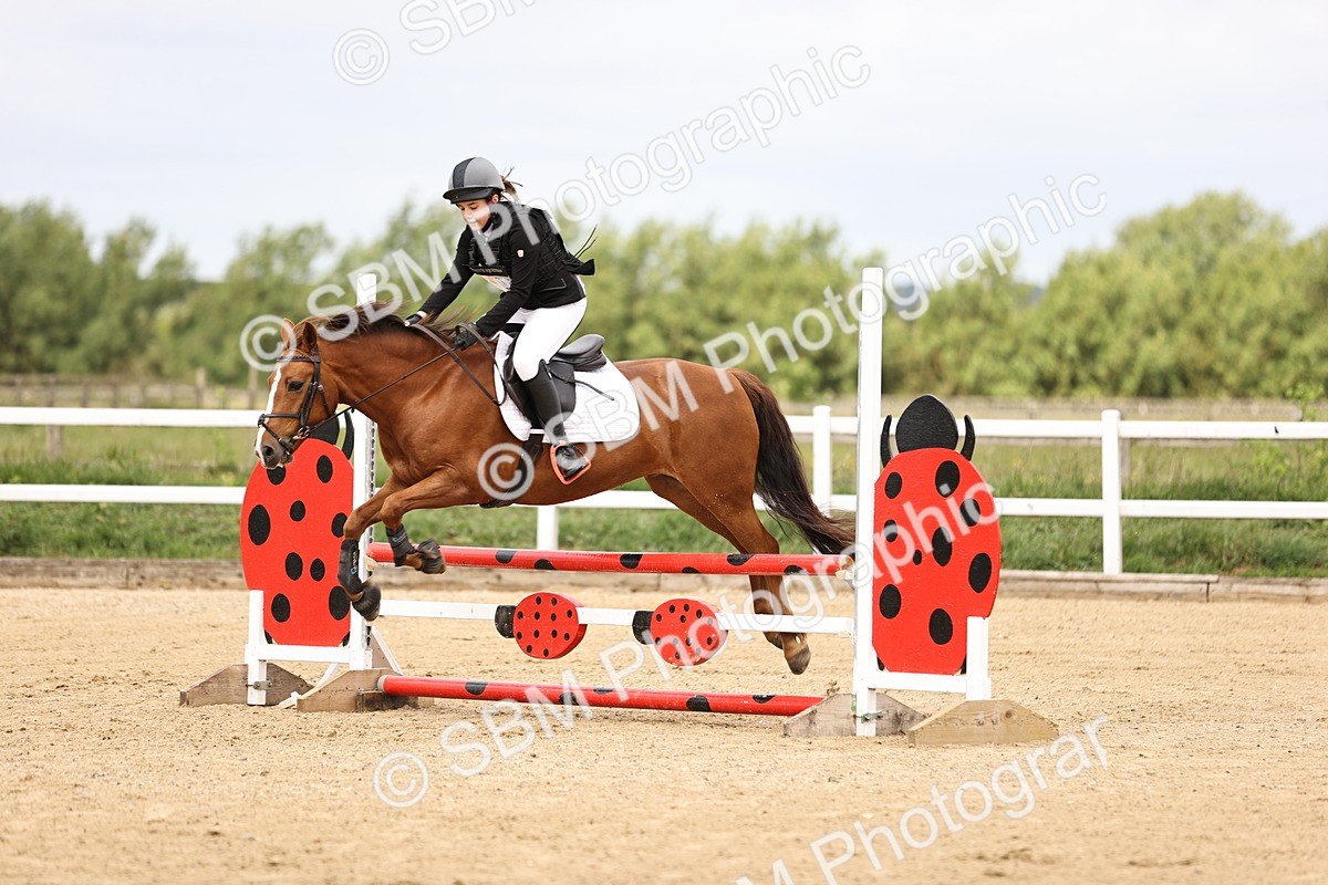 SBM_006764 - Class 1 - 70cm showjumping