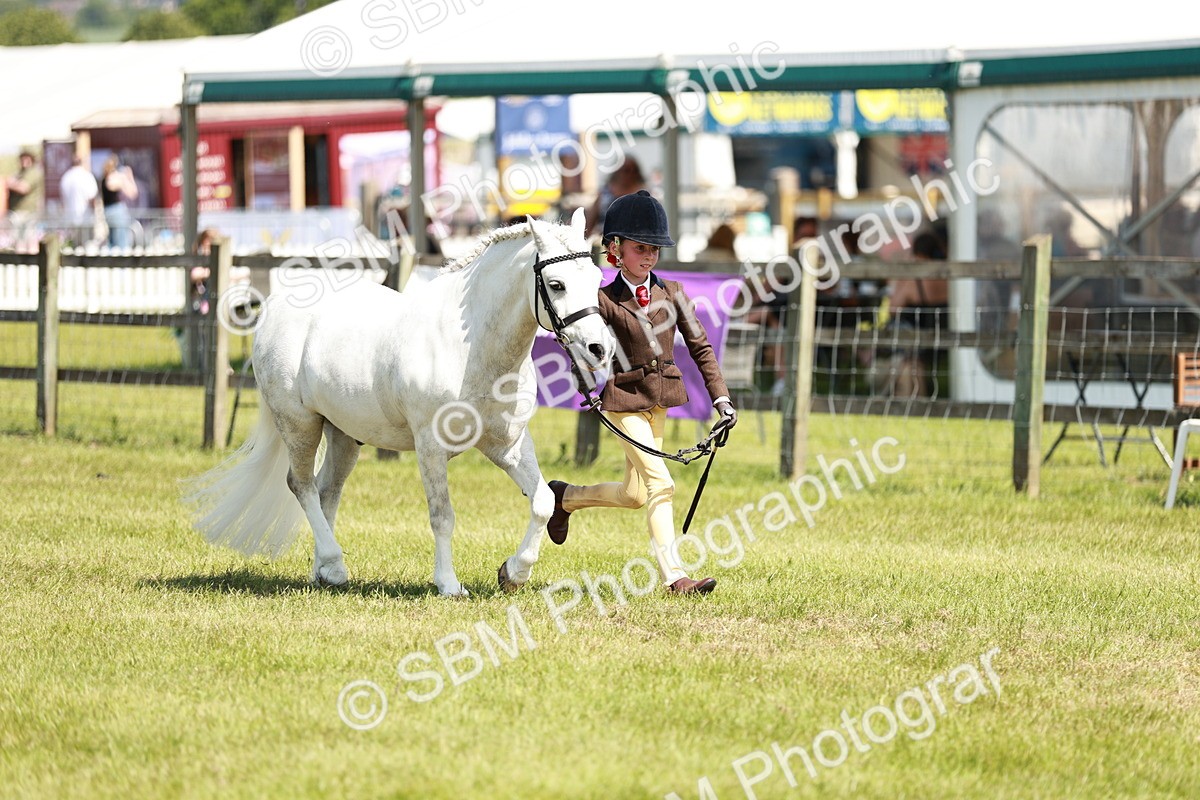 SBM_13578 - Class 108-109 - BSPS LIHS Open Gradle & Nursery Stakes