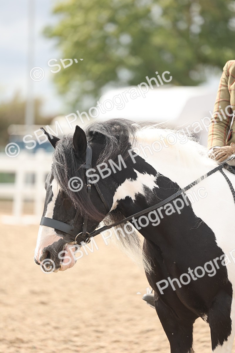 SBM_18036 - Class 314 - Family Horse Pony