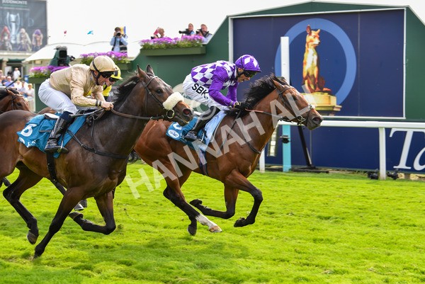 170523-Race 5-Dark Thirty-8886 - Race 5 4.10pm Conundrum HR Consulting Handicap