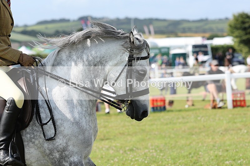 JPP_0769 - Class 16: Cornish Combination Young Rider