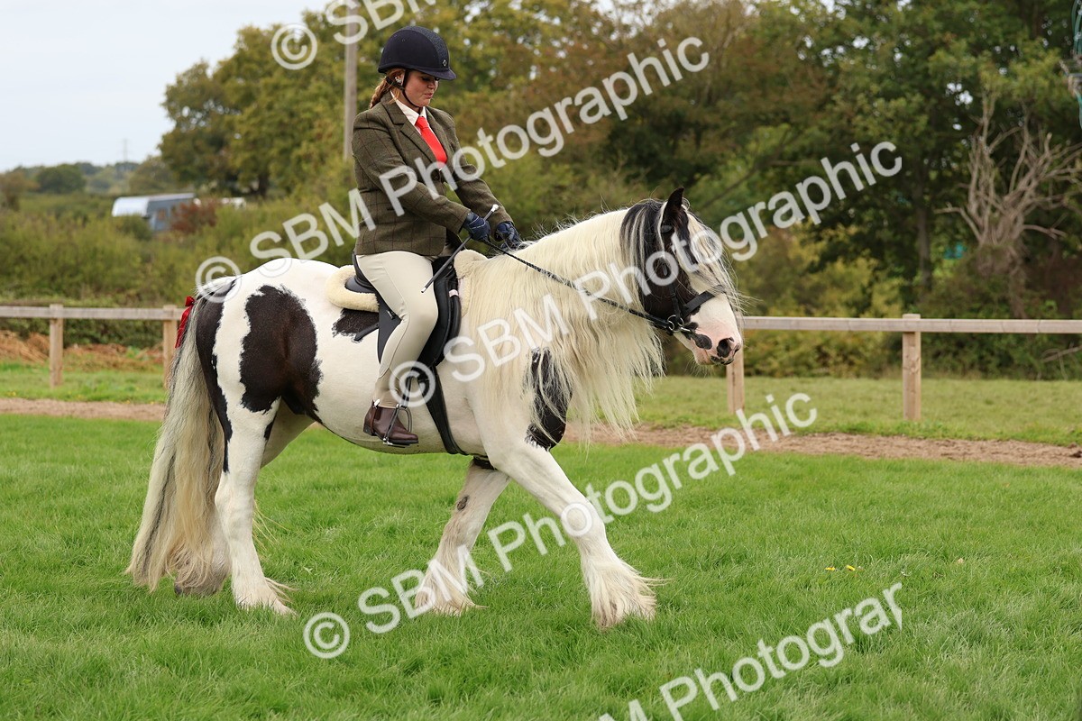 SBM_64486 - S58 - Coloured Pony Ridden