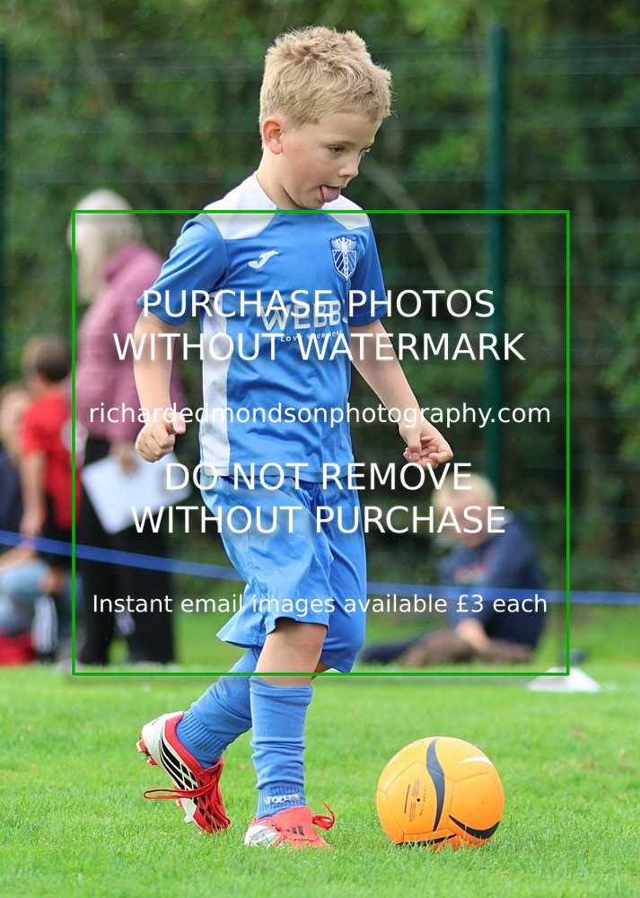 533A1801 - Kent Valley Junior Football League, Under 7 3vs3