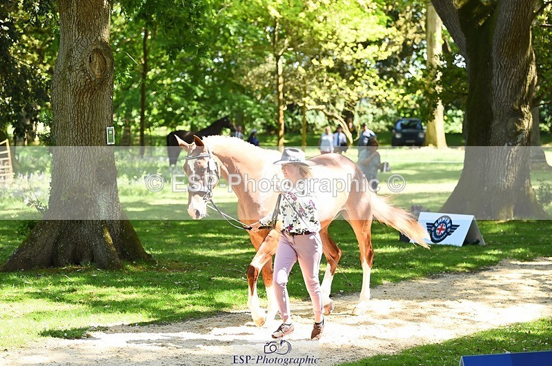 230524-150826-00086 - 308-NEFFECT_S-Kat_Raybould-WEDTrotUp+DR