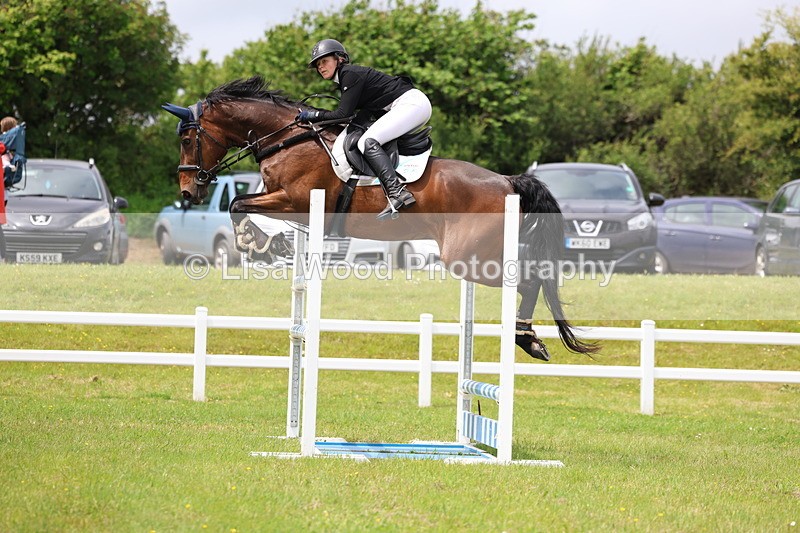 3E7A7113 - Class 12: Senior Foxhunter/1.20 open