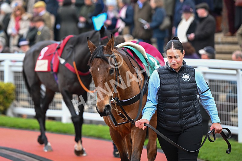 151124-Race 4-Paddock-Busselton-7975