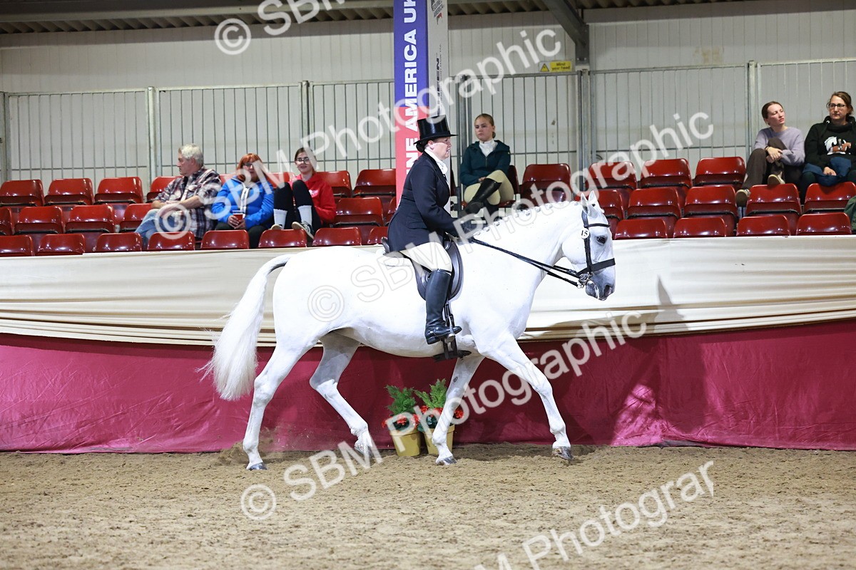 SBM_21136 - class Q - Ridden Horse Champ