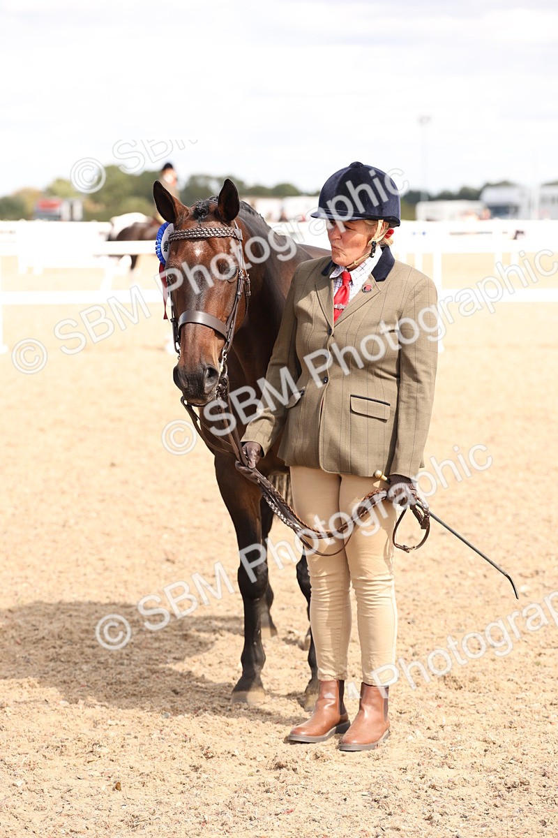 SBM_14727 - Class 208 - IH Veteran Horse