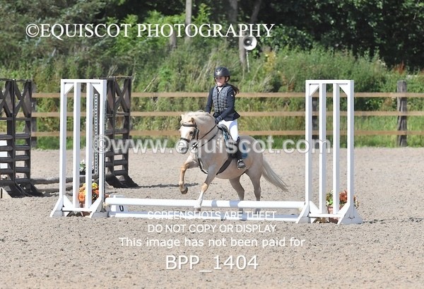 BPP_1404 - DERBY CLASS 2 - 30CM