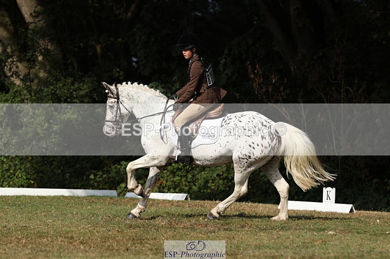 250823A-162401-33423 - PC80 Ride Off