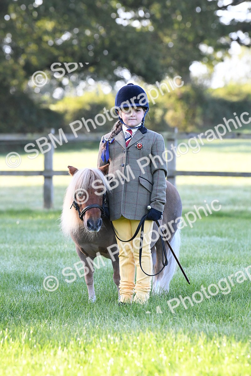 SBM_32676 - S15 - Condition & Turnout In Hand