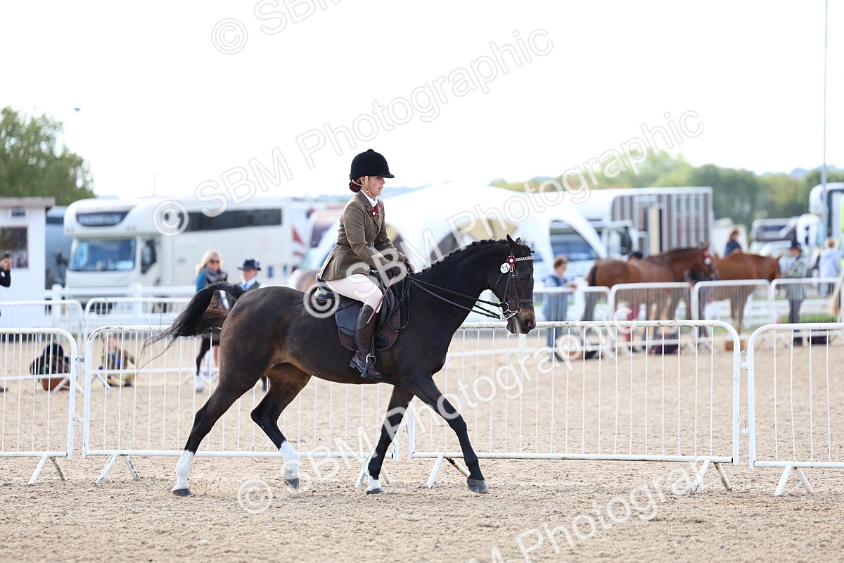 SBM_11194
