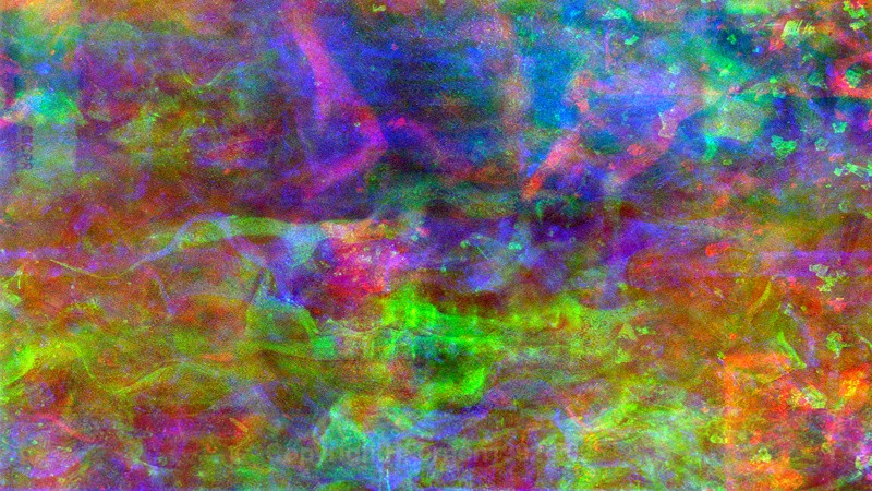 EXCHANGE XLVlll - EXCHANGE 2021