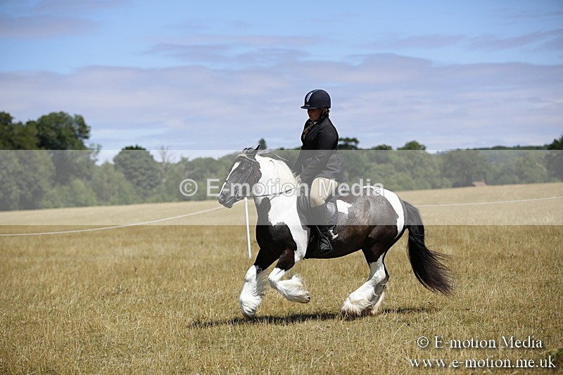 _C7A9920 - BVRC Show 2018 Ring 1