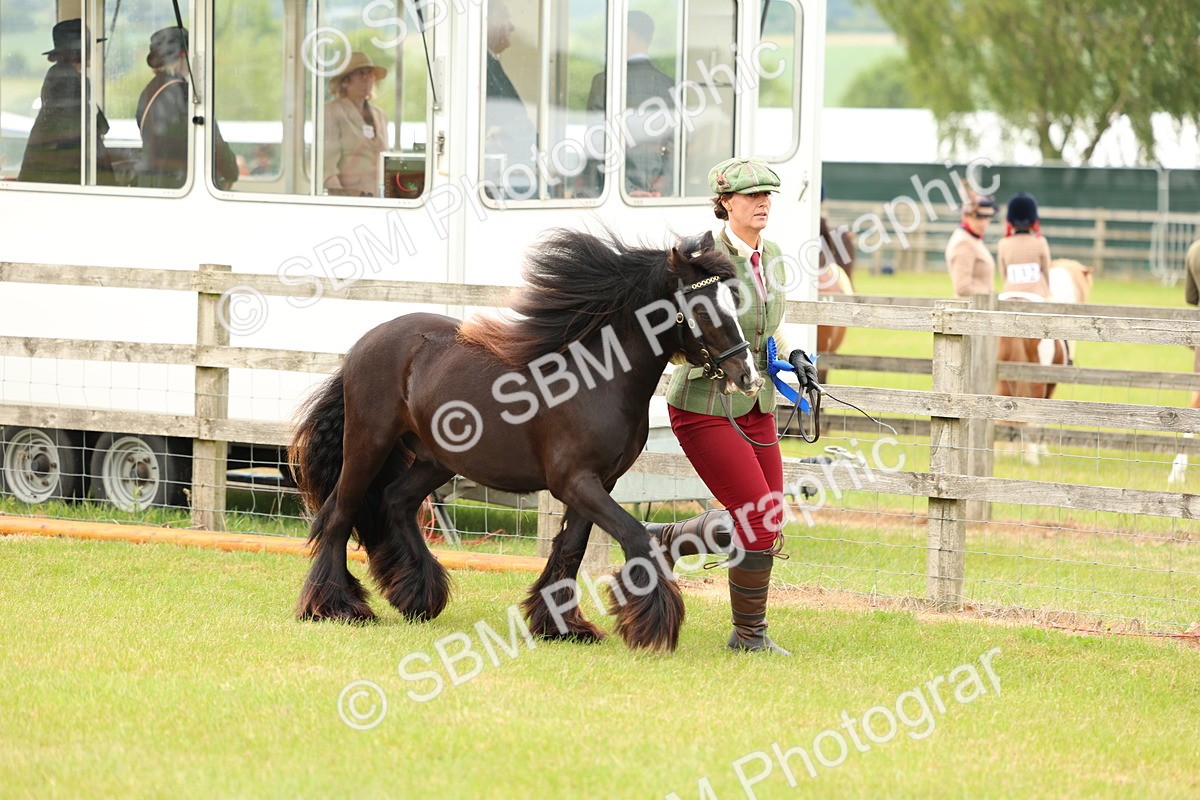 SBM_06275 - Class 39-41 TGCA In Hand and Ridden