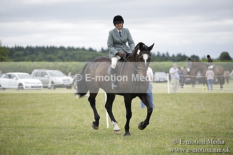 BVR160717-1552 - Ring 1 BVRC Show 16/07/17