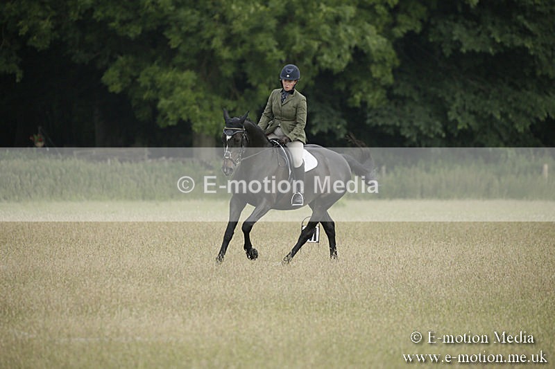 B230619-0150 - Bourne Valley Riding Club Summer Show 23/06/19