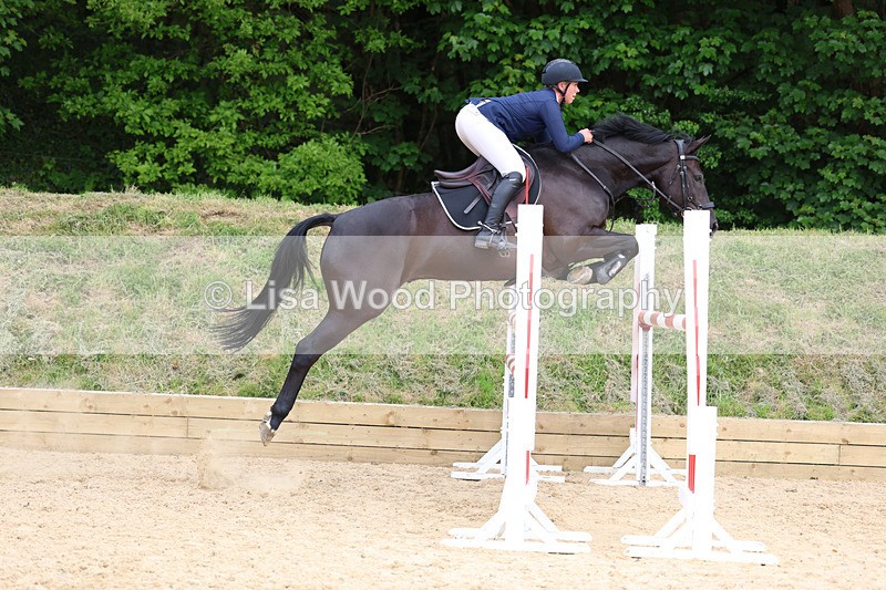 3E7A7531 - Class 8: Senior Foxhunter/1.20 open