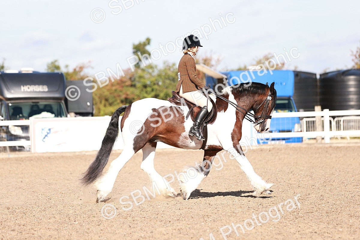 SBM_12526 - Class 403 - Grassroots Ridden - Junior