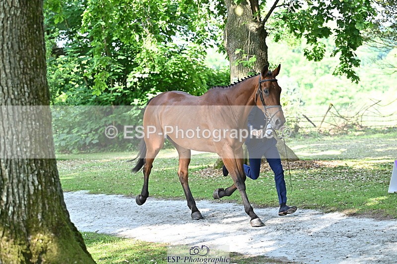 250521A-162154-01088 - C-216-Harrison.Chart-MY.KIND.OF.LADY